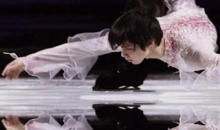 羽生结弦改国籍了吗 羽生结弦今日抵京