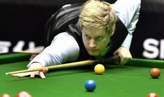 尼尔罗伯逊的猫 尼尔罗伯逊