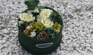 植物学家的女儿电影解说 植物学家的女儿高清