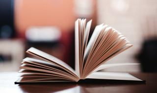 哥哥走西口介绍 走西口的哥哥没回来