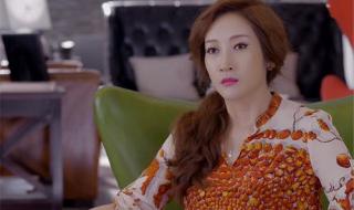 杨净如宋洋主演的电视剧 宋洋演过的电视剧